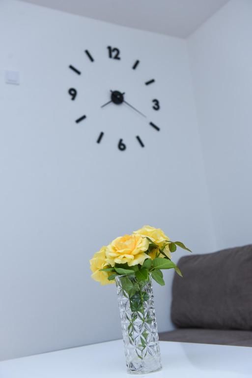 Апартаменты Lux Apartman Casablanca Плужине-84